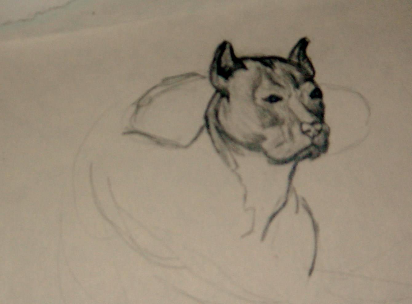 pencil on paper (circa 2010)
